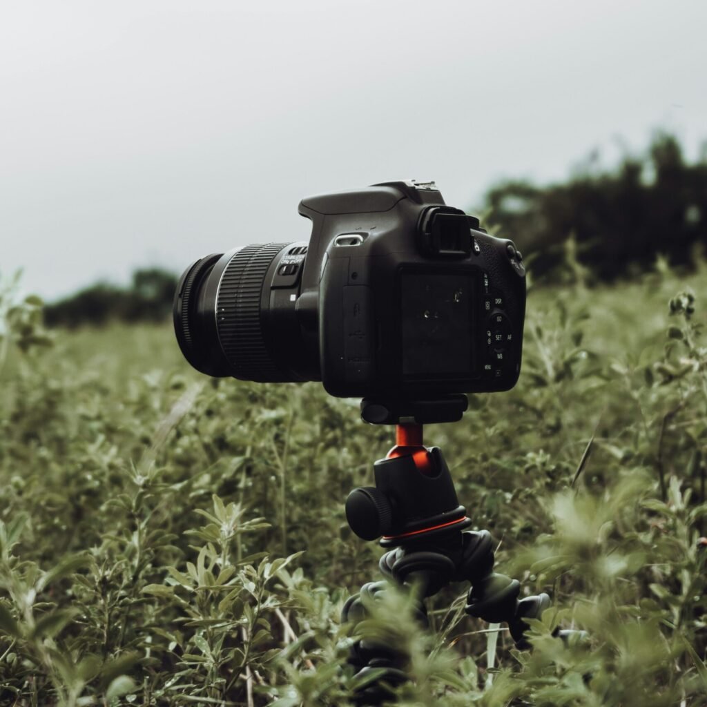 black dslr camera on tripod on green grass field during daytime